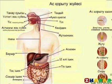 Джеди Ахсока порно