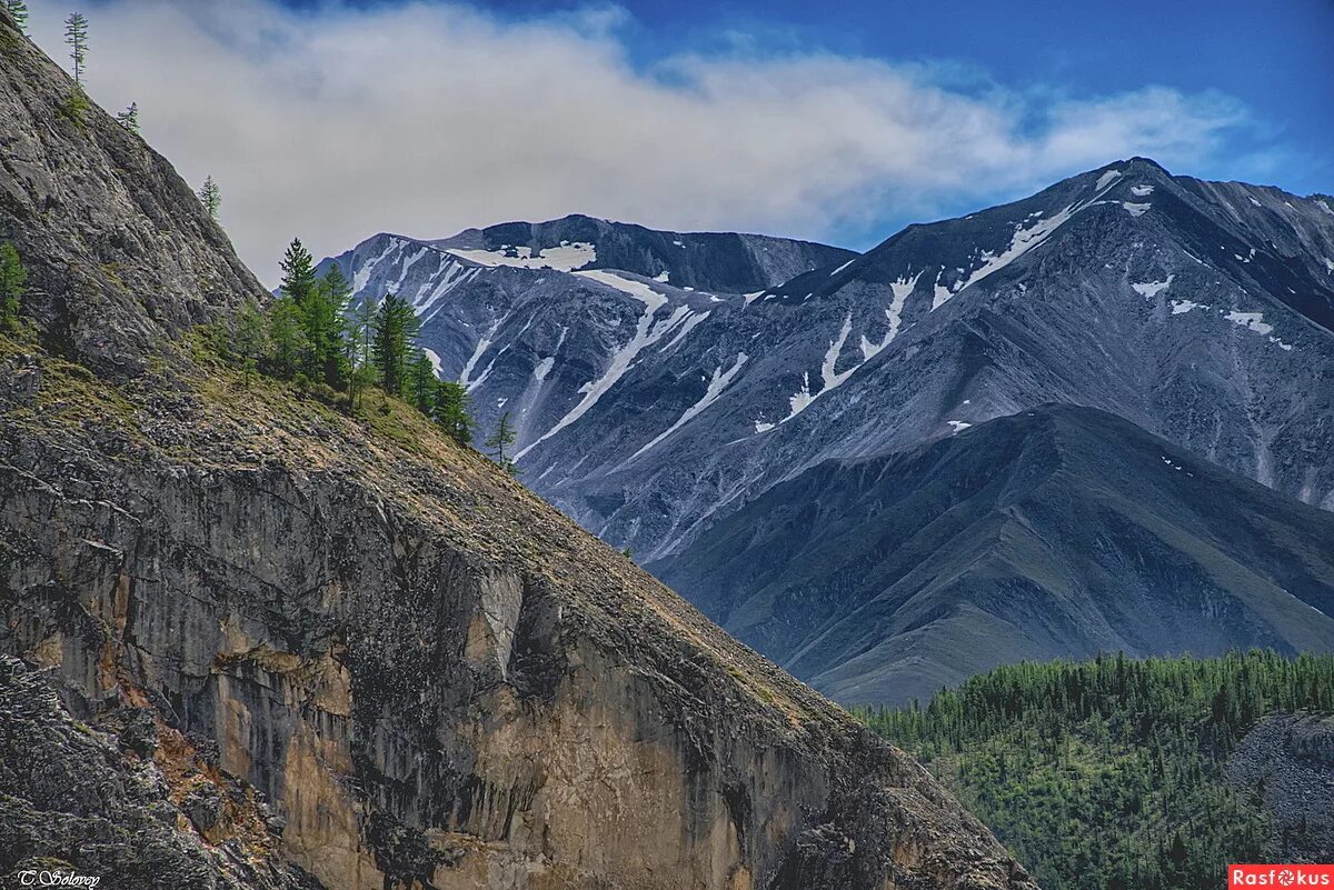 Посёлок аршан "саяны". Саян хада. Шумак долина 100 источников. Аршан саяны в апреле. Саян хада.