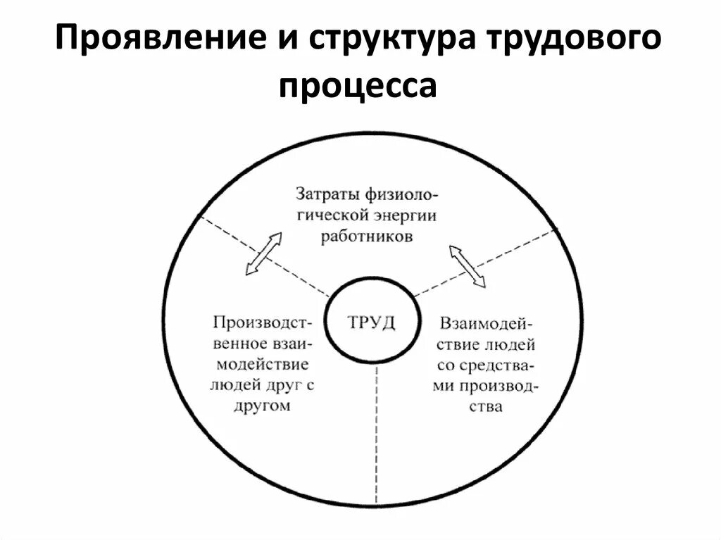 Проявить трудовой. Структура трудового процесса. Структура процесса труда. Структурные элементы трудового процесса. Иерархия трудового процесса.