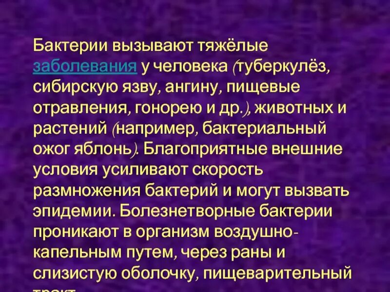 Пример бактерий вызывающих болезни. Болезни вызываемые бактериями. Бактерии вызывающие заболевания. Сообщение на тему болезни вызываемые бактериями. Бактериальные заболевания растений и человека.