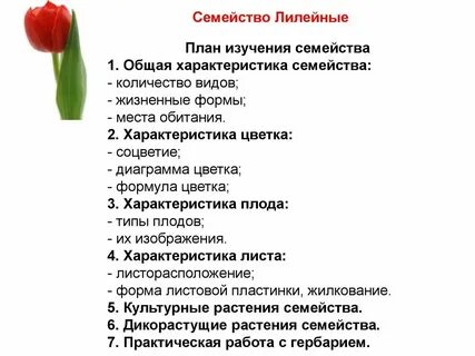 План общей характеристики растений