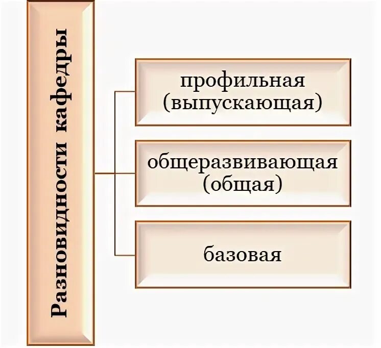 Виды кафедры. Типы кафедр. Виды кафедр в вузе.