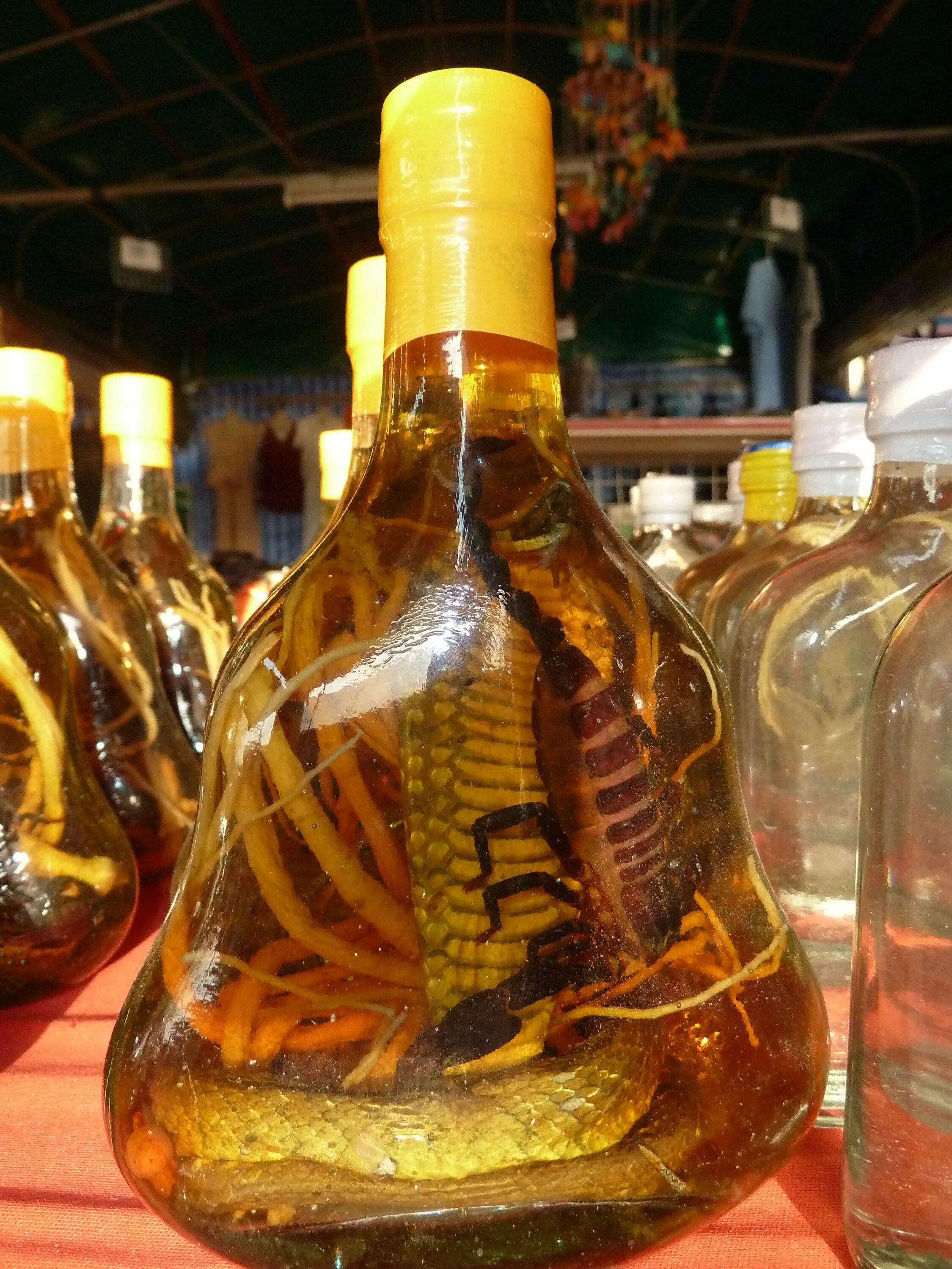 Настойка на змее. Snake Wine Вьетнам. Змеиное вино (Вьетнам).