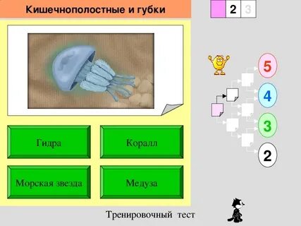 Тест по биологии кишечнополостные