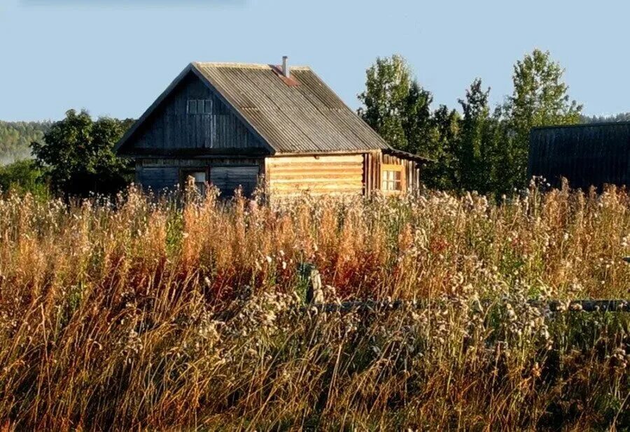 Участок зарос сорняками. Заросший дачный участок. Заросшая тропинка. Заросший участок. Земельный участок.