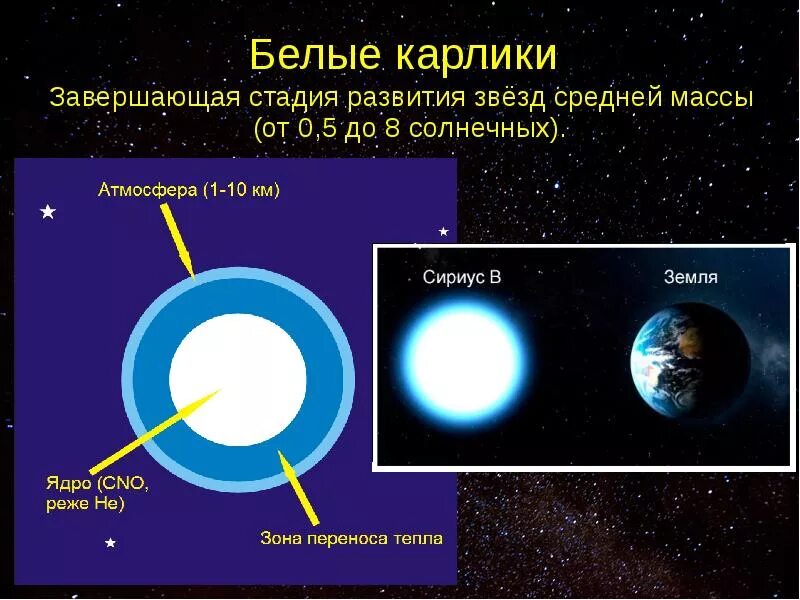 Что не входит в состав белого карлика. Строение белого карлика. Белые карлики звезды строение. Строение белых карликов. Строение звезд белых карликов.