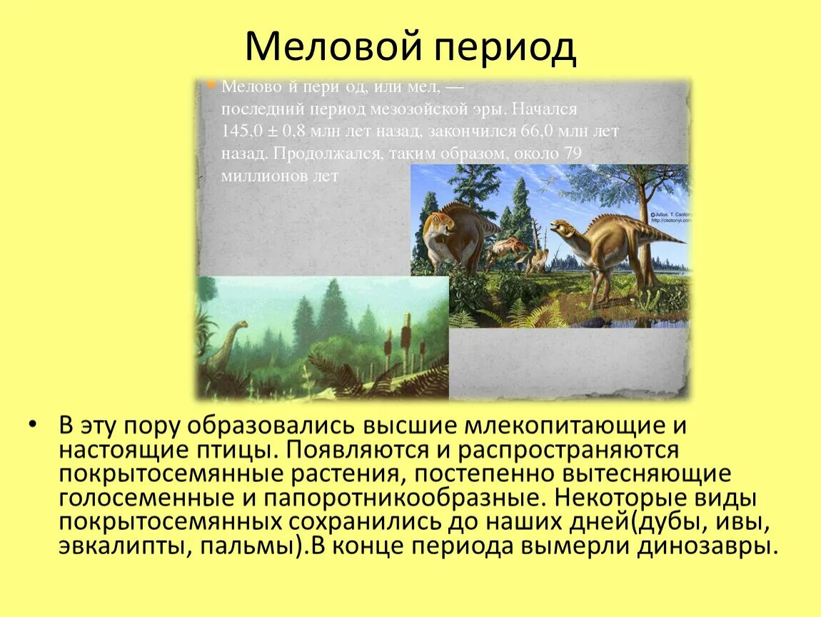 Мезозойская эра 9 класс. Меловой период презентация. Меловой период кратко. Млекопитающие и птицы мелового периода. Мезозойская Эра презентация.