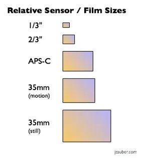 Relative sizes