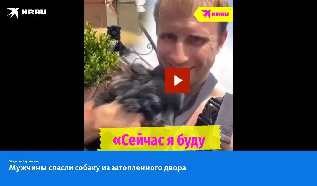 Парень спас собаку. Парень спас собаку