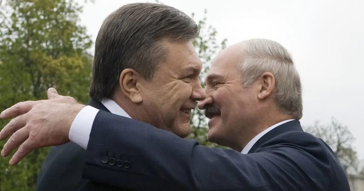 Янукович в белоруссии 2024. Янукович в белоруссии. Янукович в белоруссии. Диктатор янукович. Янукович в белоруссии.