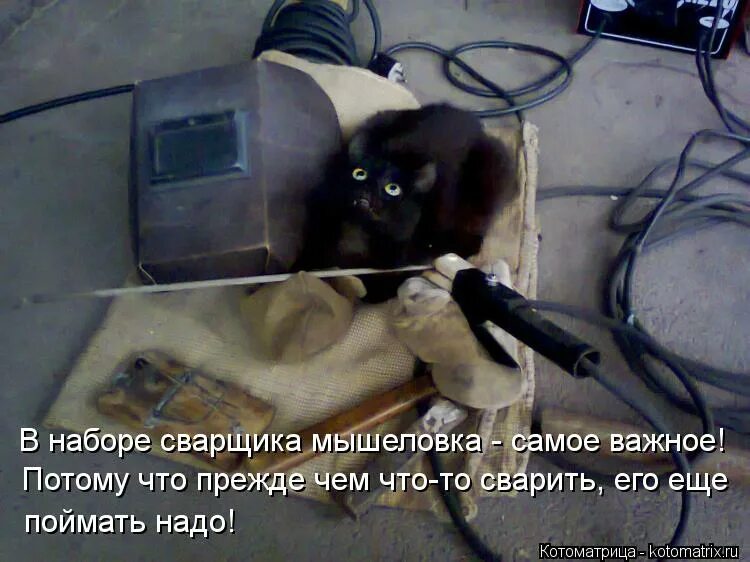 Молитва сварщика. Смешной сварщик. Кот сварщик. Шутки про сварщиков. Анекдоты про сварщиков в картинках