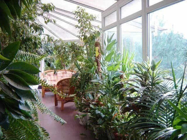 Зимний сад на балконе фото Balcony garden Urban gardening balcony, Apartment garden, Outdoor balcony
