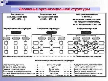 Развитие организационной структуры функции
