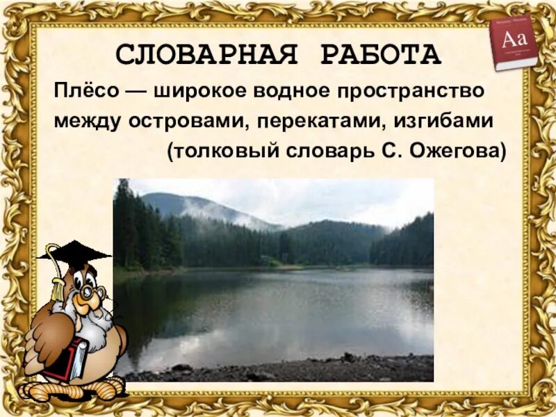 Плесо значение