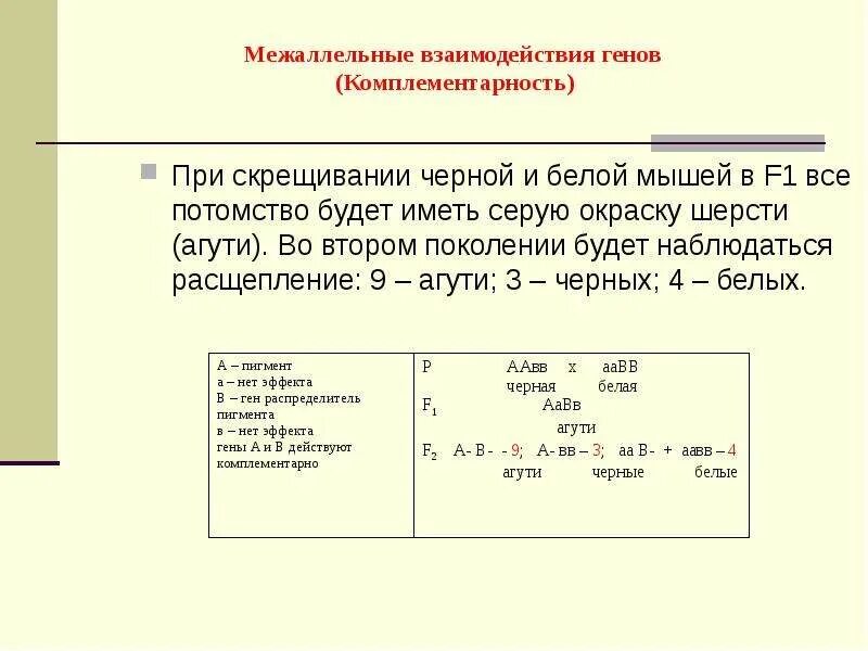 При скрещивании чистой линии мышей. Межаллельные взаимодействия генов. При скрещивание чёрных и белых мышей. Межаллельные взаимодействия комплементарность. При скрещивании белых и черных мышей получены серые.