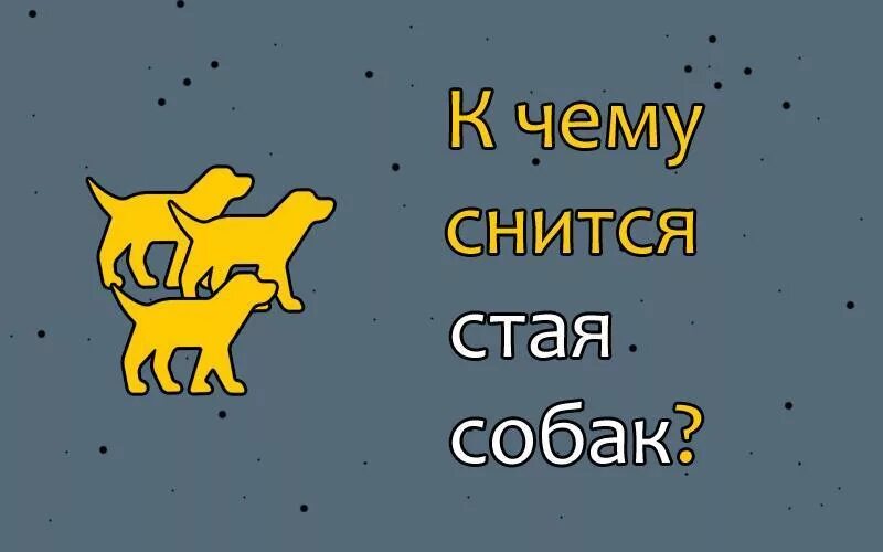 Сонник стая собак. К чему снится стая собак. Что снится собакам. Приснилась собака к чему.