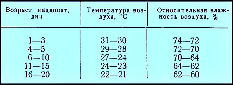 Температурная таблица для выращивания бройлеров. Таблица температурный режим выращивания индюшат. Температурный режим для цыплят индюшат бройлеров. Температурный режим для индюшат таблица с первых дней. Температура тела кур