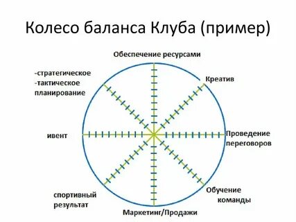 Школа сфера жизни