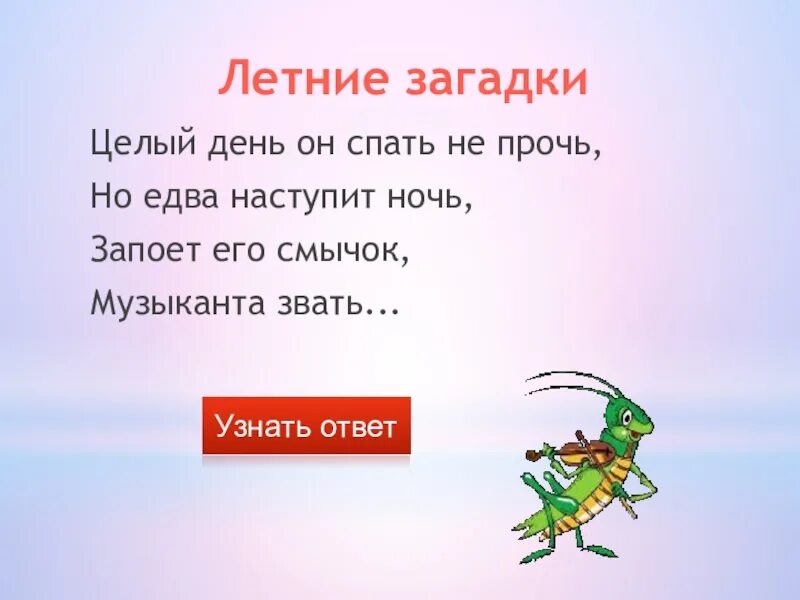 Найди загадки дня. Найди загадки. алиса найди загадки. целый день он спать не прочь. найди летние загадки.