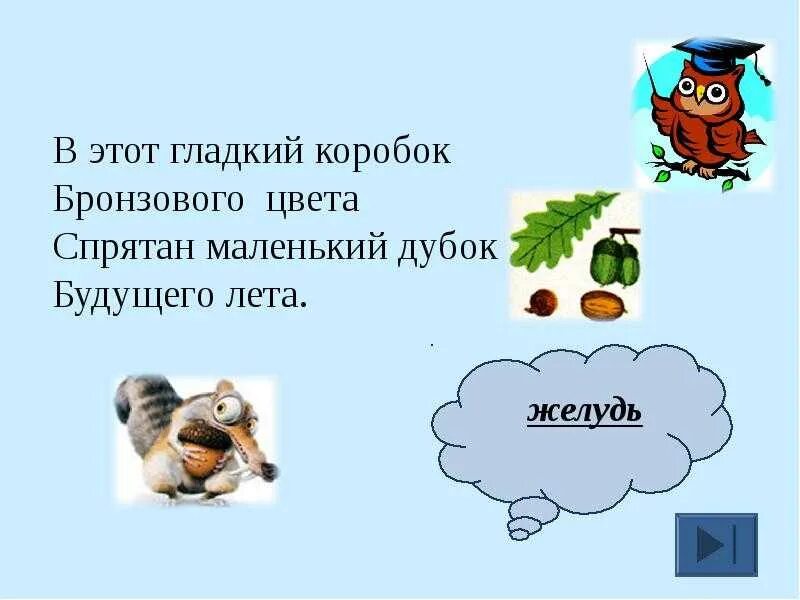 Загадки со словом желудь. Загадка золотой клубочек спрятался. Загадка про дуб. Загадка про лешего. Какие плоды у дуба.