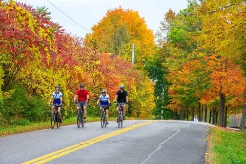 Fall our