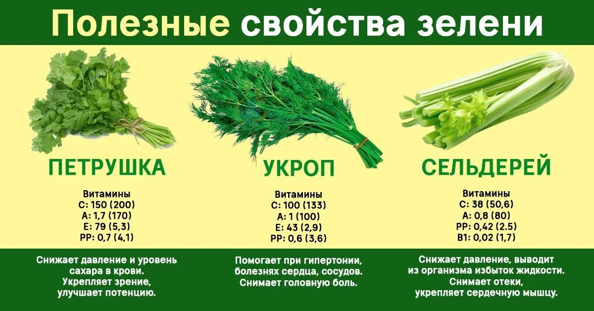 Зелень кбжу. Петрушка укроп состав витаминов. полезная зелень. витамины в зелени петрушке и укропе. полезные свойства зелени.