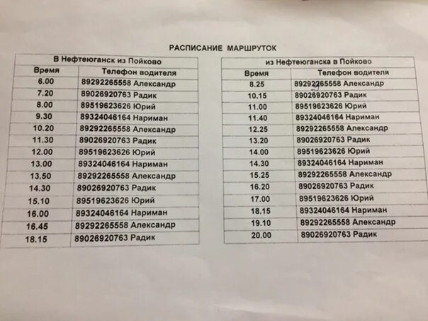 Расписание автобусов Пойковский Нефтеюганск. Маршрутка Нефтеюганск Пойковский. Маршрутка Нефтеюганск Сургут расписание. Расписание маршруток Пойковский Нефтеюганск. График маршрутное такси