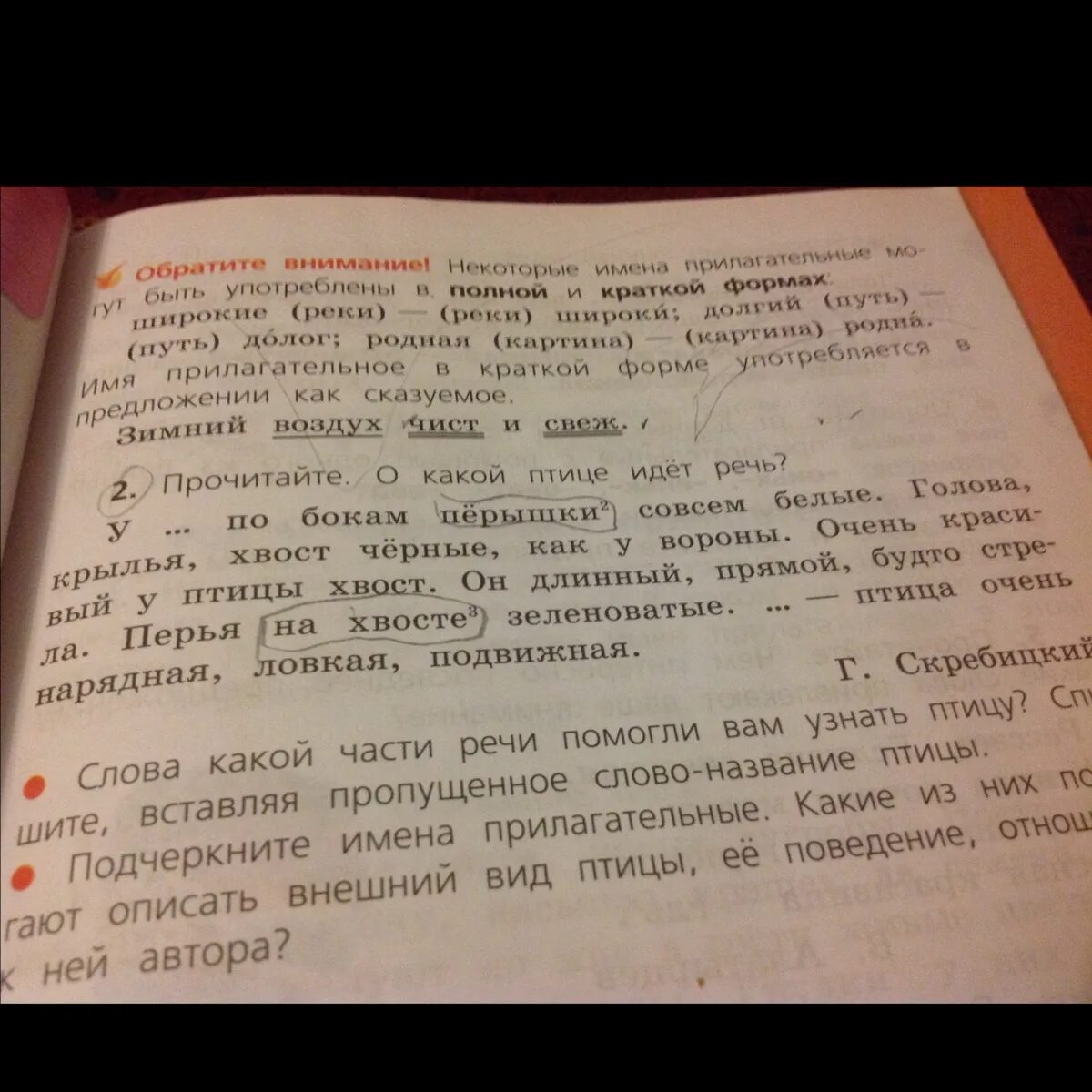 Прочитайте текст поведение птицы вставьте пропущенные слова. Прочитайте текст поведение птицы вставьте пропущенные слова