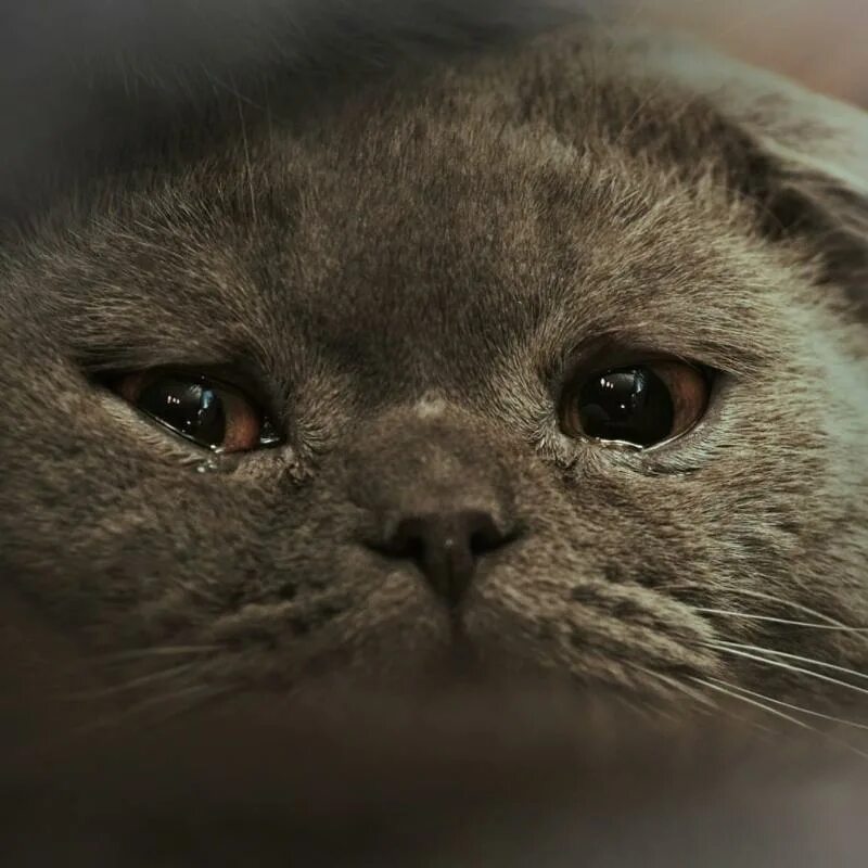 Голова болит анекдот. Можно с вами познакомиться нет почему. Скучно. Малая я скучаю. Я правда всегда скучал я правда всегда любил.