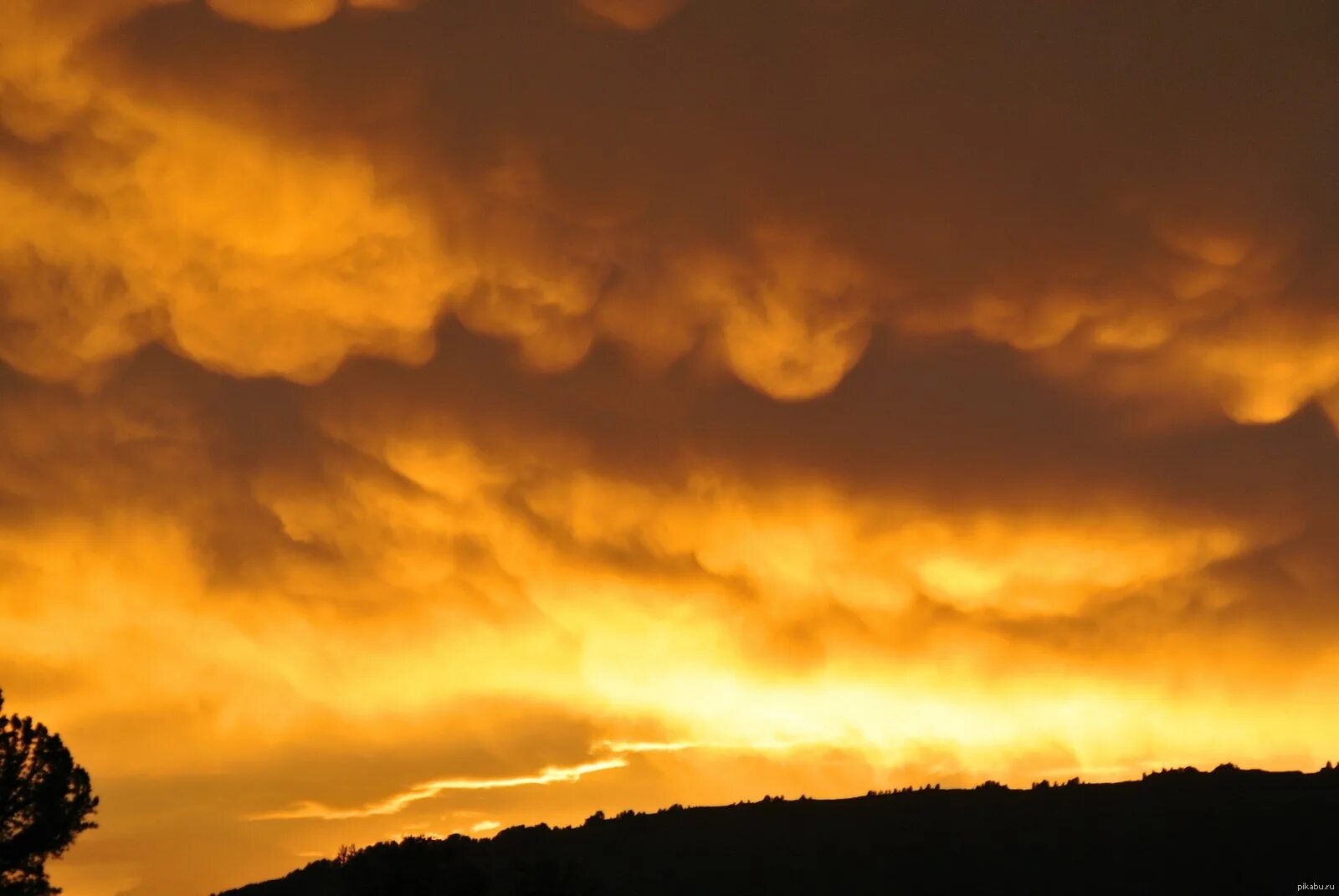Желтое небо с облаками. Желто голубое небо. Небо с облаками. Желто голубые тучи. Желтые облака.