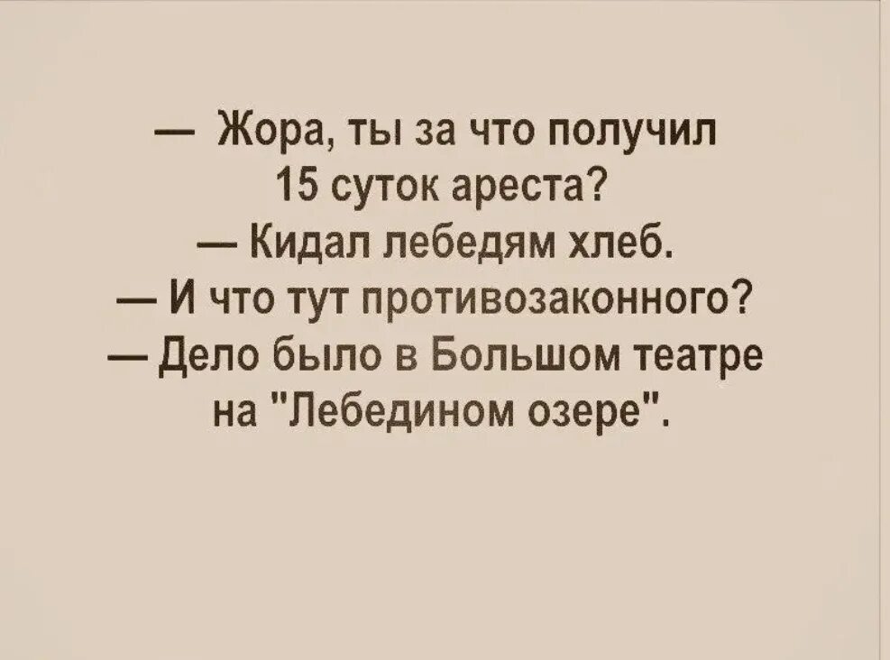 Кинуть хлебом. Бросал хлеб лебедям сорвал балет. Бросал хлеб лебедям сорвал балет картинка. Кидал лебедям хлеб в большом театре. Шутка про балет и кормить лебедей.