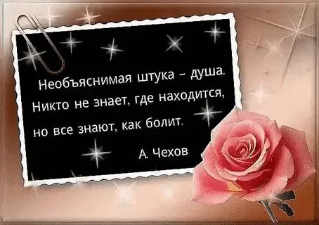 Моя душа не знает счастья