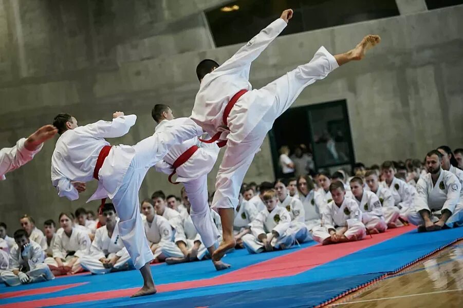 Каратэ до чемпионат. Таджик каратист. Каратэ до чемпионат. Каратэ вкф кумитэ. Каратэ до чемпионат.