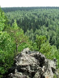 Погода в высокая грива