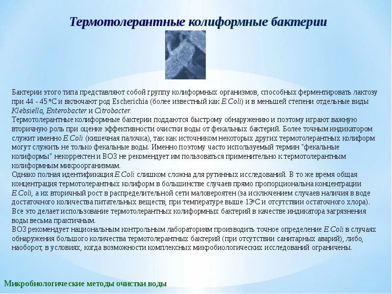 Бактерии в питьевой воде. Термотолерантные колиформные бактерии. Общие колиморфные бактерии. Термотолерантные колиформные бактерии в воде. Определение общих колиформных бактерий в воде.