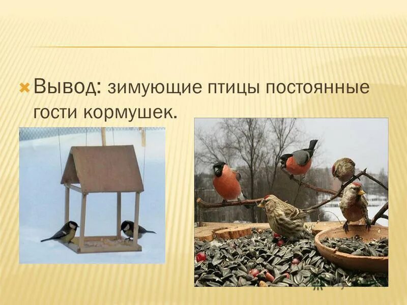 Постоянные птицы. Оседлые кочующие и перелетные птицы. Главное условие их возвращения(птиц. Презентация урока 1 класс окружающий мир где зимуют птицы. Перелетные зимующие и кочующие птицы.