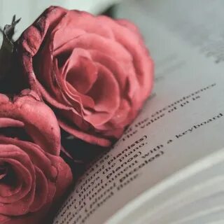 Цветок розы книга