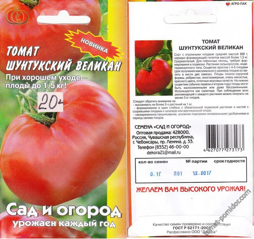 Ландсхутский великан томат. Шунтукский великан томат описание. Томат шунтукский великан. Гавриш томат желтый великан. Помидоры великан описание.