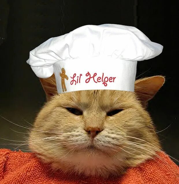 Кот повар. Кот в поварском колпаке. Котенок повар. Кошка в колпаке повара. Cooking cat