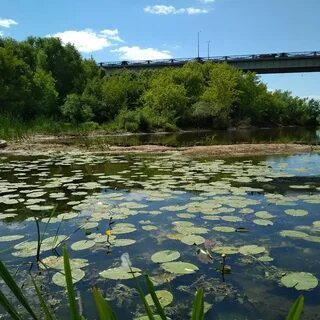 Реки оки москва