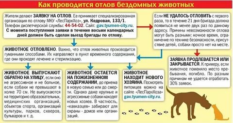 Предотвращение нападения диких птиц