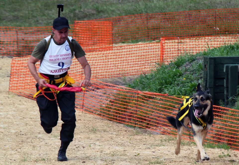 кинологические виды спорта. спортивные собаки igp спорт. кинологический спорт триал барнаул. кинологический спорт. спортивная кинология.