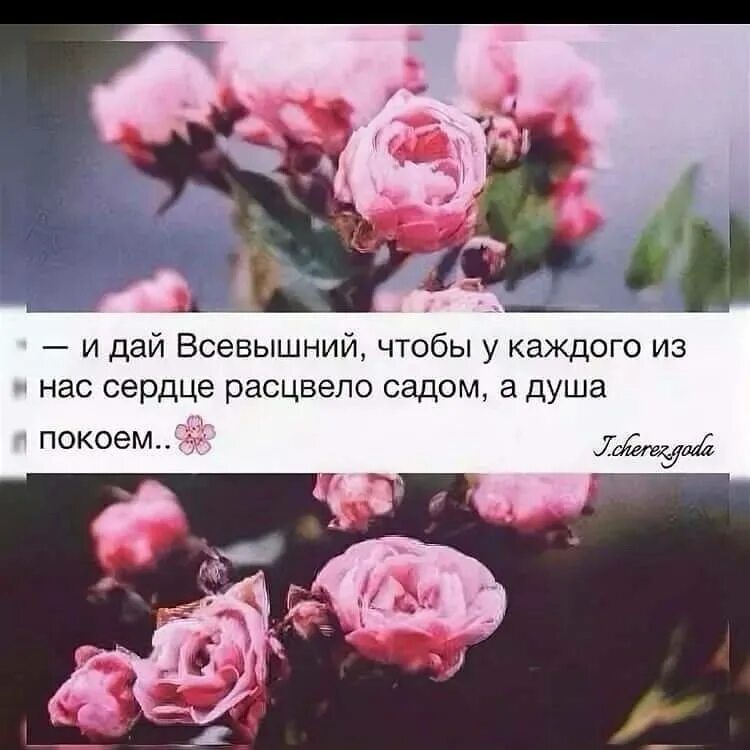 Благодаря всевышнего