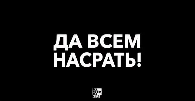 Наплюй да все забудь песня