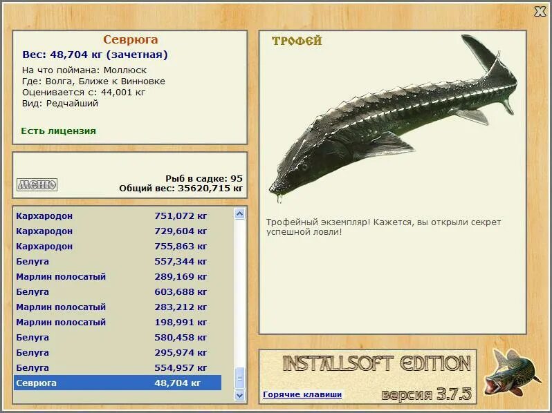 На что ловить севрюгу в игре реальная рыбалка. Осетр реальная рыбалка братское водохранилище. Реальная рыбалка ловля на спиннинг осетра на братском водохранилище. Осетр вектор. Локация волга в русской рыбалке моллюск.