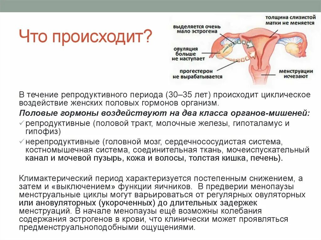 Органы мишени половых гормонов. Половых органы мишени женских. Органы мишени женских половых гормонов. Органы мишени половых гормонов у женщин. 3 женские половые гормоны