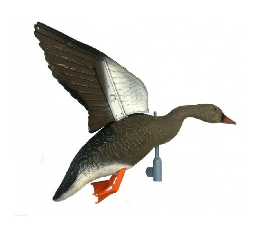 Чучело sport plast гусь белолобый кормящийся. Чучело гуся sport plast. Спортпласт чучела гусей. Гусь гуменник. Гусь спорт пласта.