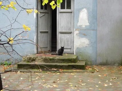 Жду во дворе