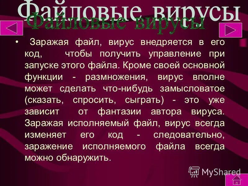 Файловый вирус всегда. Файловые вирусы. Что заражают файловые вирусы. Файловый вирус всегда. Файловый вирус всегда.