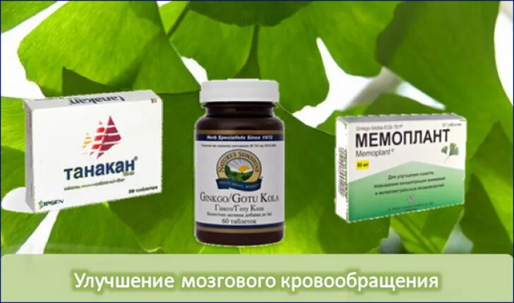 Новый препарат для улучшения кровообращения. Препараты для улучшения мозгового кровообращения. таблетки для кровообращения головного мозга. лекарство для улучшения кровообращения мозга. таблетки для улучшения мозгового кровообращения и сосудов.